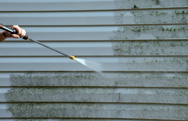Mold Testing and Removal in Meridianville, AL